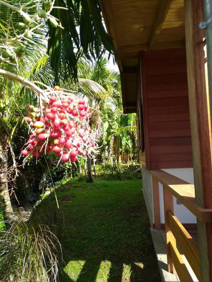 Un Cosy Sous Le Vent Villa Gourbeyre Exterior photo